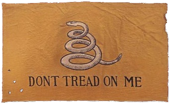 Original Gadsen Flag